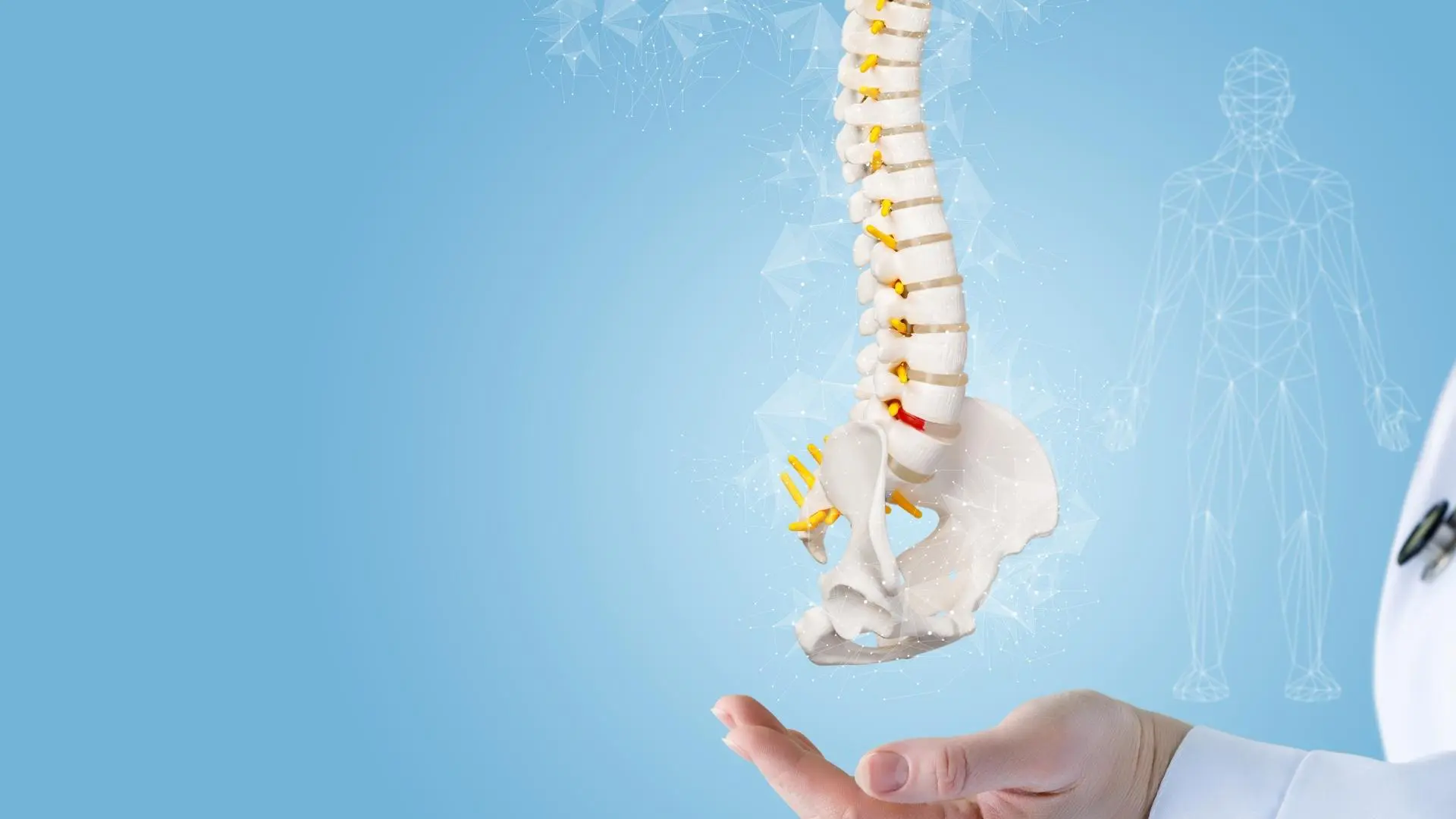 What Is The Best Spine Position For A Bad Back? | Back In Shape